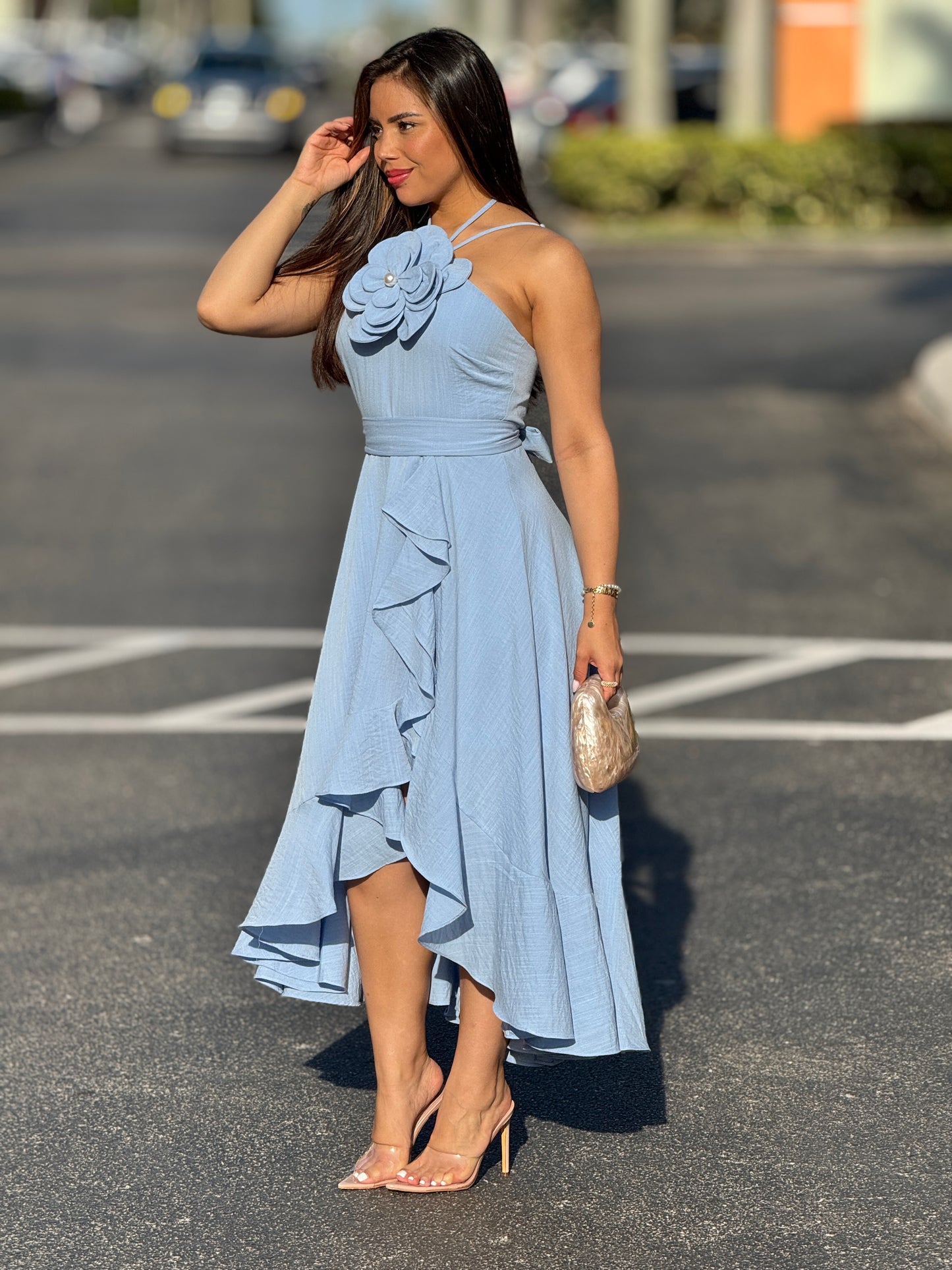 Lindsay Blue 3D Flower Dress