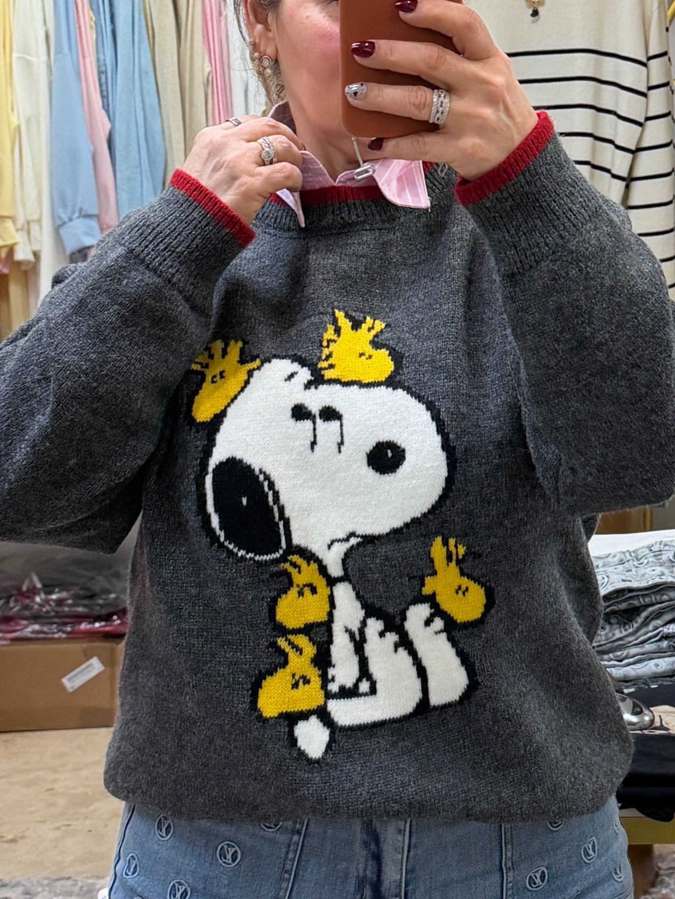 Cartoon Birds Gray Sweater Top