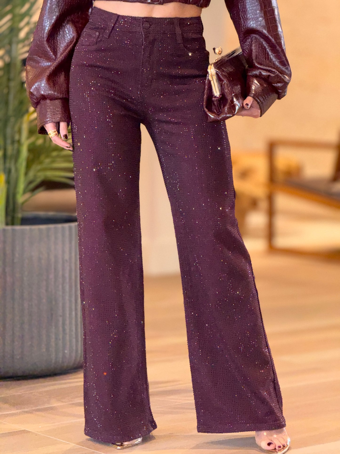 Nina Burgundy Rhinestones Jeans