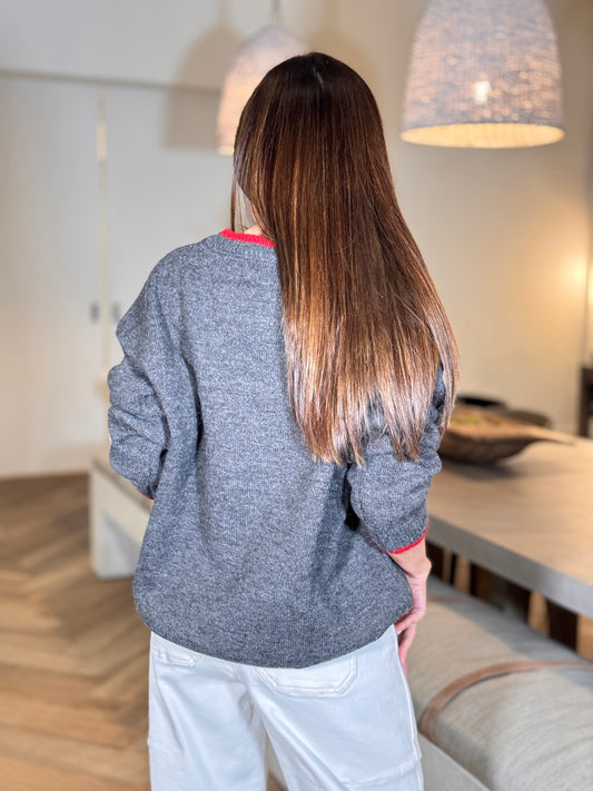 Cartoon Birds Gray Sweater Top