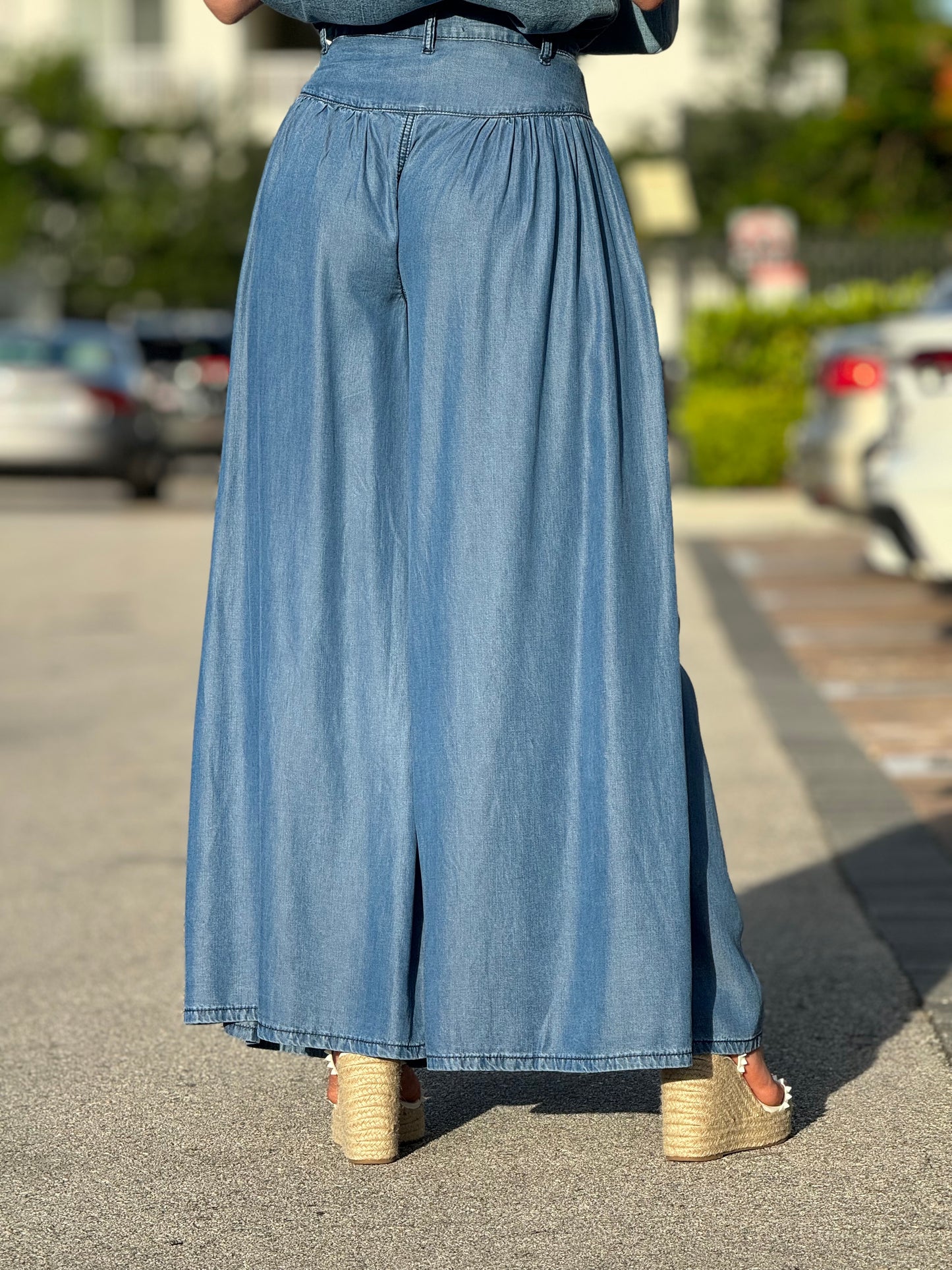 Vivianne Denim Palazzo Pants