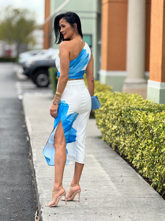 Milka Blue Floral Skirt Set