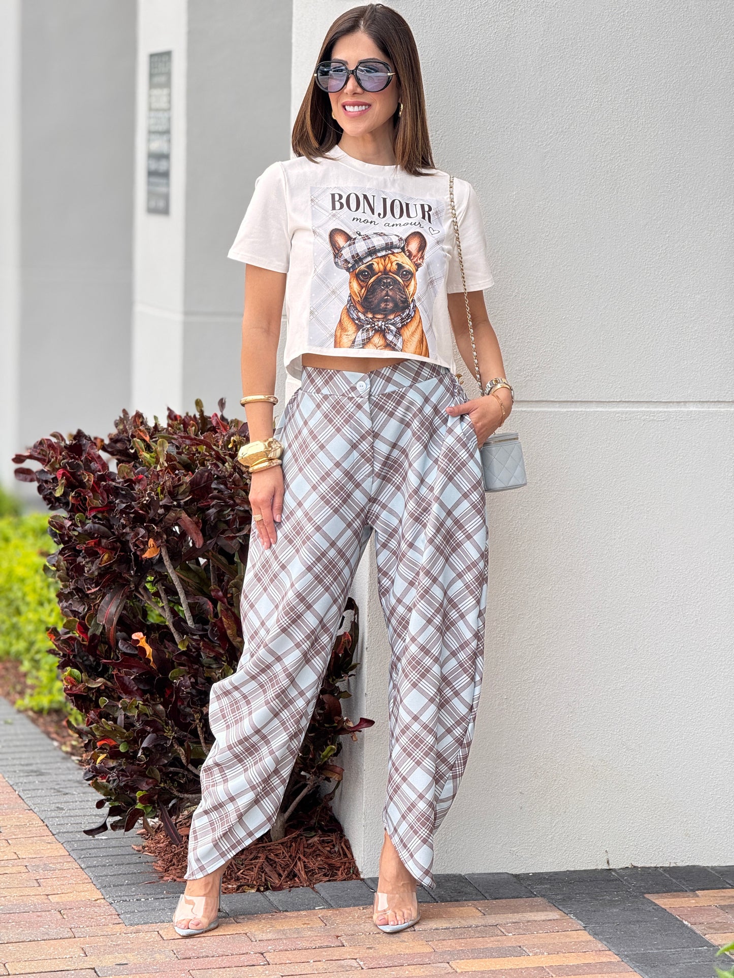 Frenchie Bonjour Blue Plaid Set