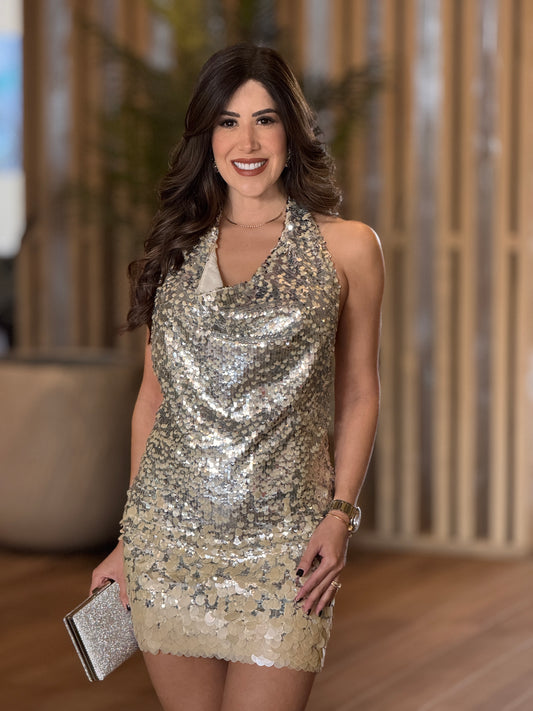 Steph Silver/Beige Sequin Dress Gala