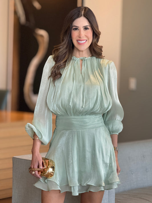 Swan Sage Chiffon Dress Gala