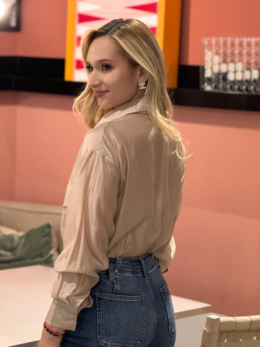 Dreamy Beige Sheer Blouse