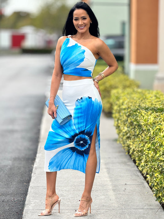 Milka Blue Floral Skirt Set