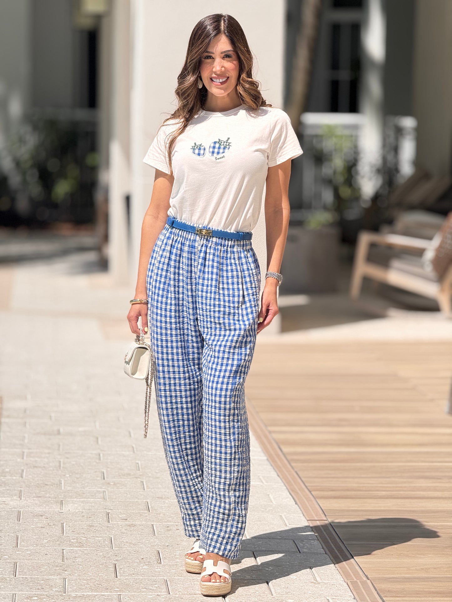 Blueberry Gingham Set
