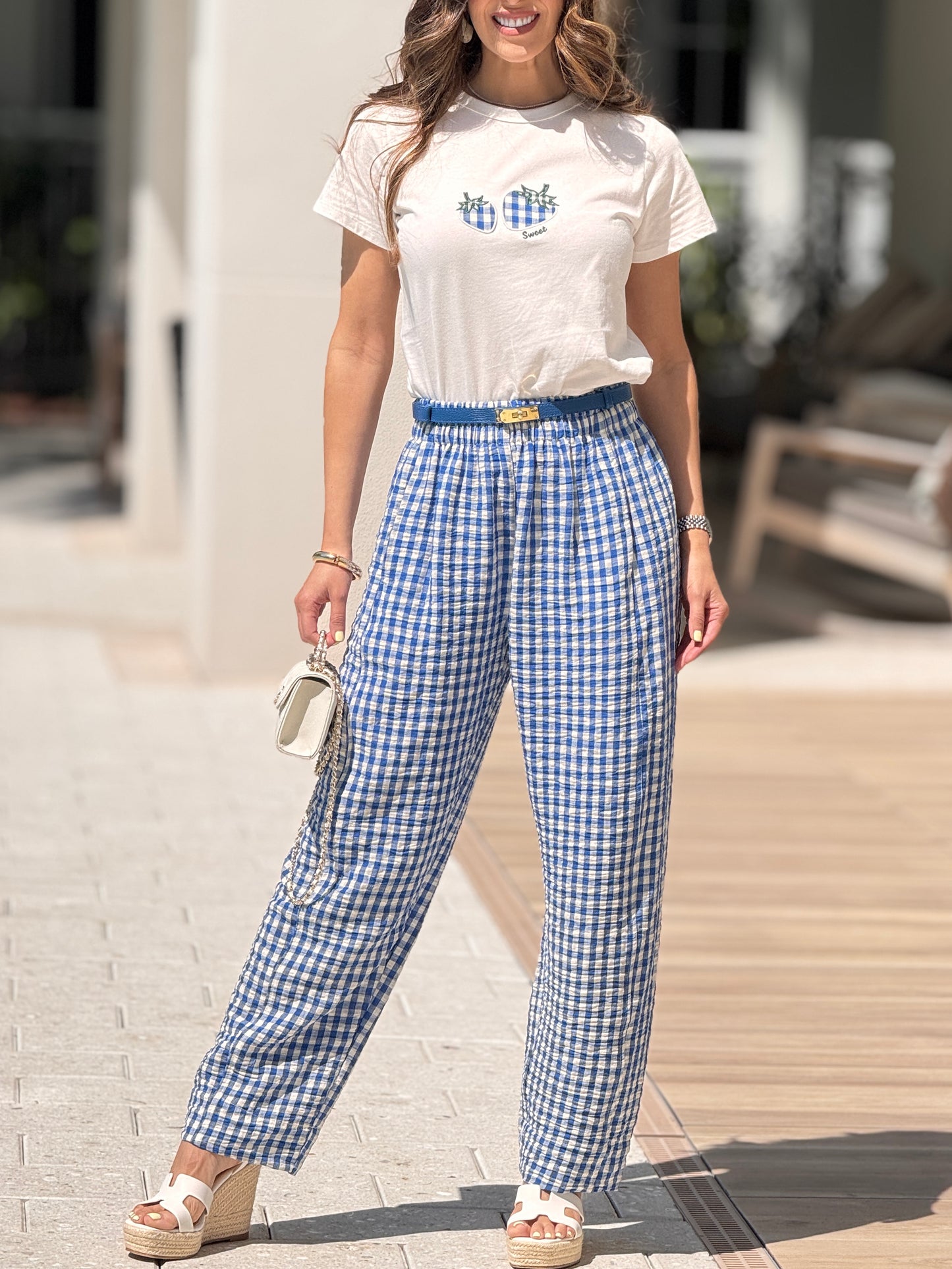 Blueberry Gingham Set