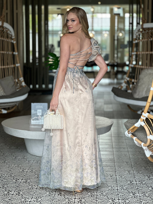 Princess Beige/Gray Tulle Dress Gala