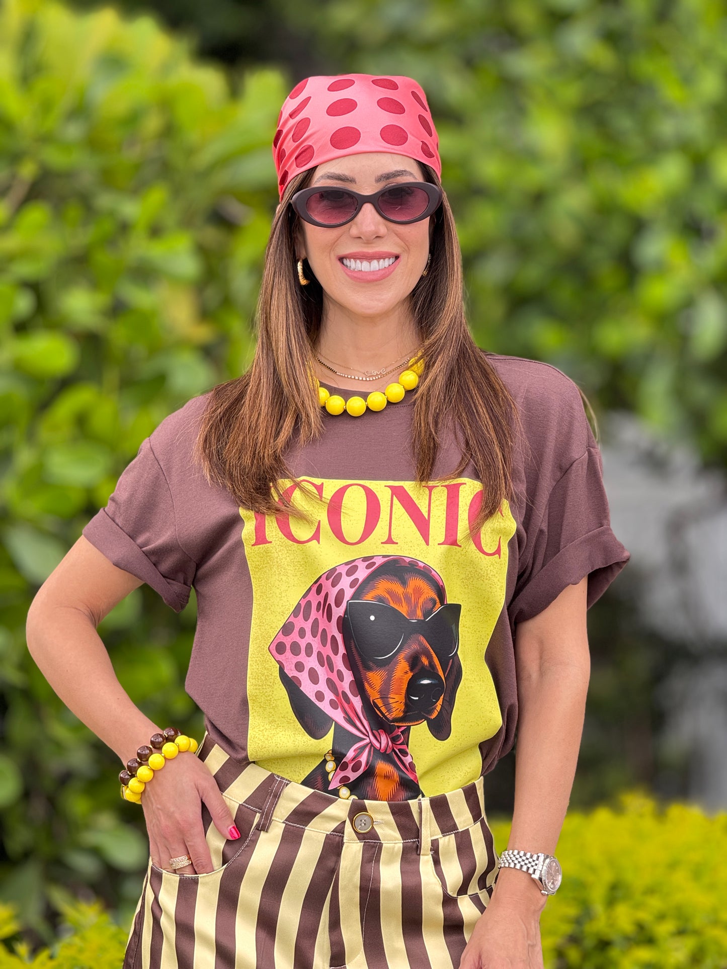 Iconic Scarf Doggy +Scarf Brown T-Shirt