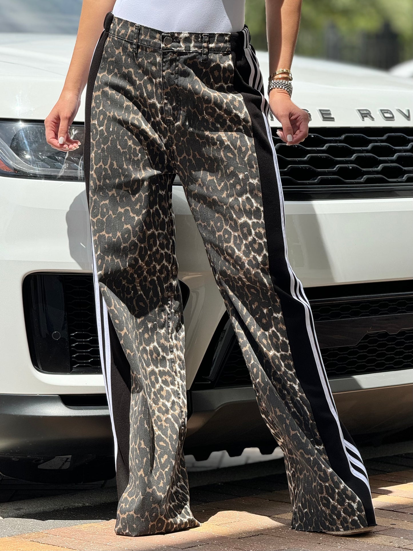 Angelica Trend Leopard/Black Lines Pants