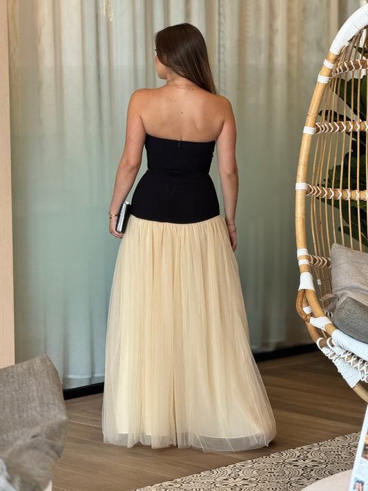 The Swan Black/Beige Tulle Dress Gala