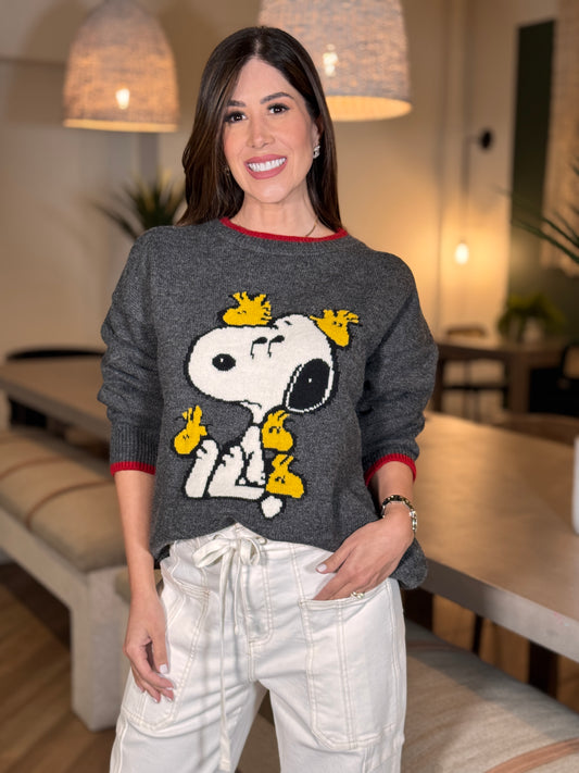 Cartoon Birds Gray Sweater Top