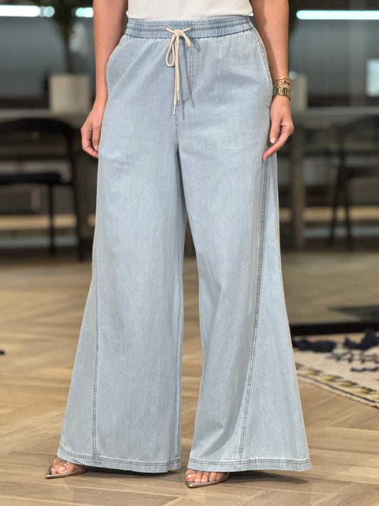 Hershey Denim Palazzo Pants