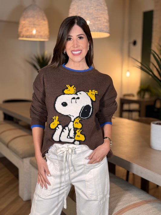 Cartoon Birds Brown Sweater Top