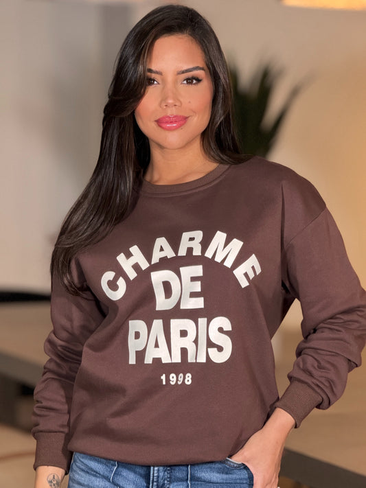 Paris Brown Sweater Top